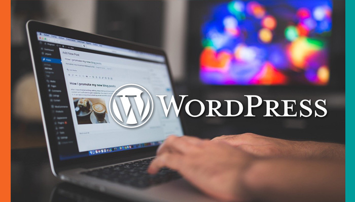 🚀 Crea tu academia virtual con WordPress y empieza a generar ingresos 1 Academia virtual en WordPress