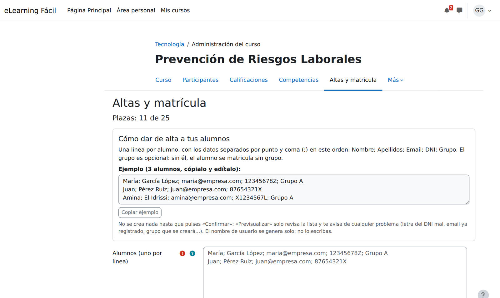 Pantalla de altas con la ayuda y el ejemplo copiable