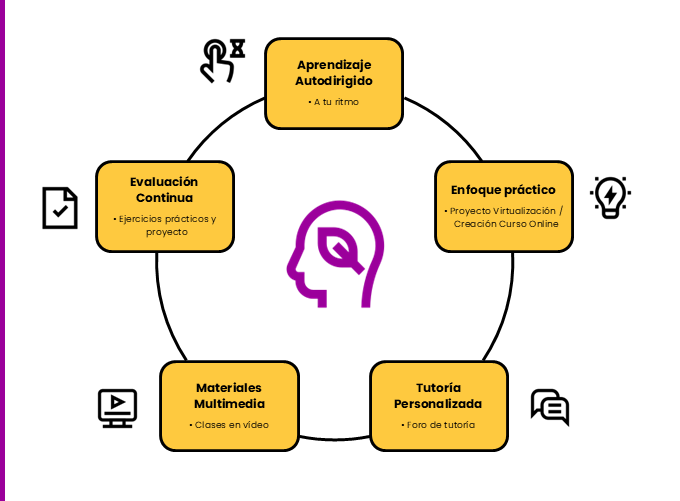 Experto en Cursos Online